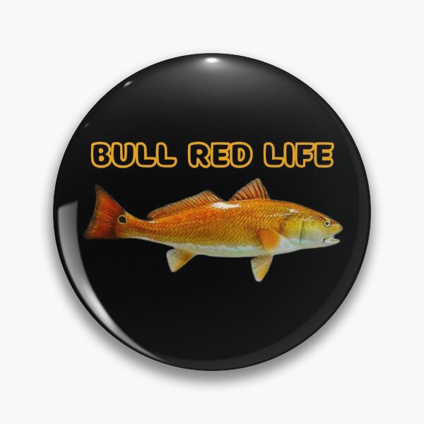 Redfish Spotted Drum Fishing Outer Banks Trophy Fish Carolina