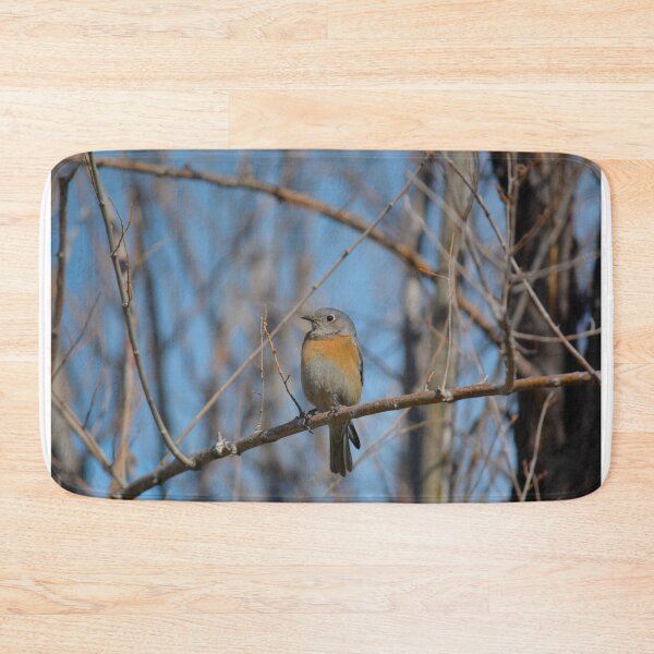 Item preview, Female Western Bluebird designed and sold by birdsofthePNW.