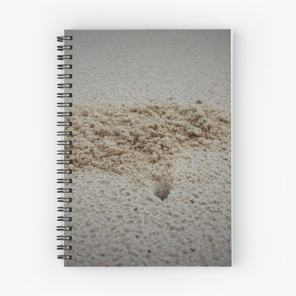 Item preview, Crab Clearing Its Home designed and sold by AshLiam.