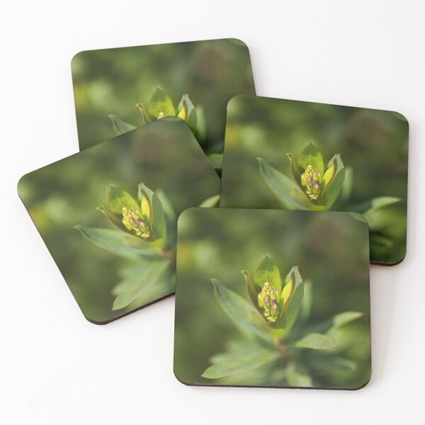 Item preview, Sweet Pea With Buds  designed and sold by Joy Watson - Natural Light Photography .
