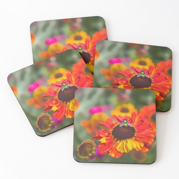 Item preview, Fly On Helenium Flower  designed and sold by Alisonchambers2.