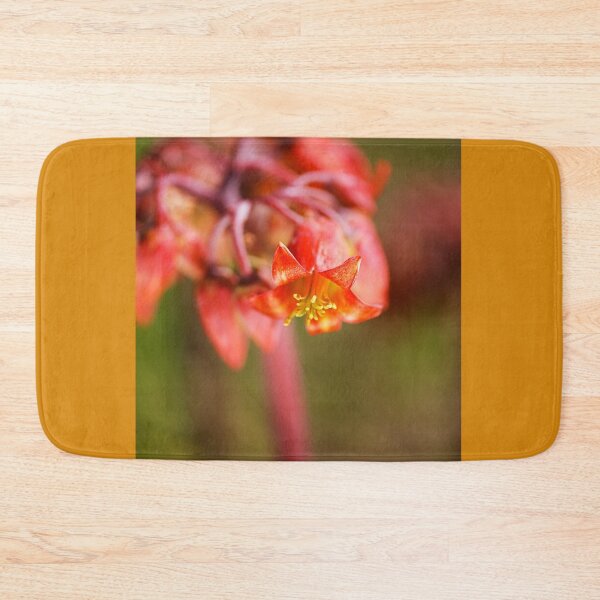 Item preview,  Cactus Pigs Ear Blooms  designed and sold by Joy Watson - Natural Light Photography .