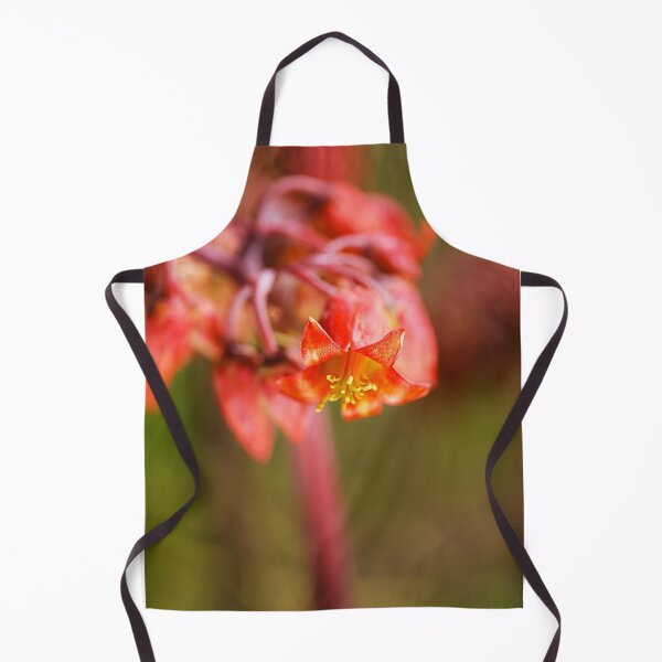 Item preview, Cactus Pigs Ear Blooms designed and sold by Joy Watson - Natural Light Photography .