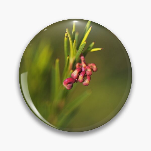 Item preview, Grevillea Bud Greencape Small  designed and sold by Joy Watson - Natural Light Photography .