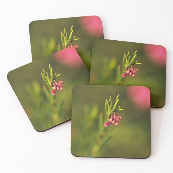 Item preview, Grevillea Bud Greencape Small  designed and sold by Joy Watson - Natural Light Photography .