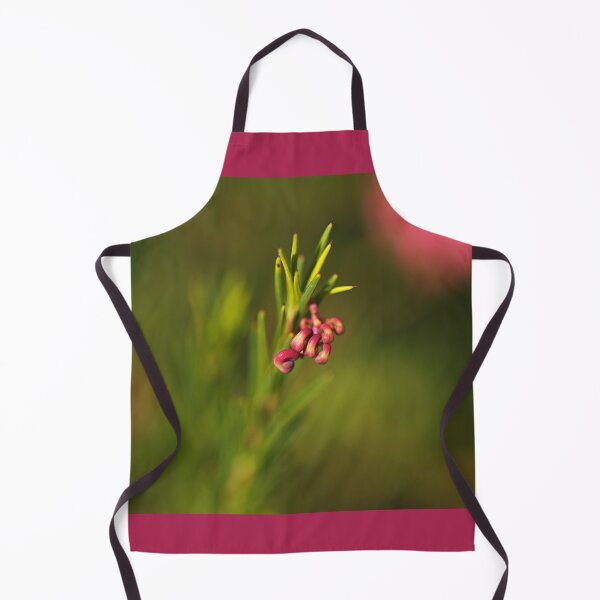 Item preview, Grevillea Bud Greencape Small designed and sold by Joy Watson - Natural Light Photography .