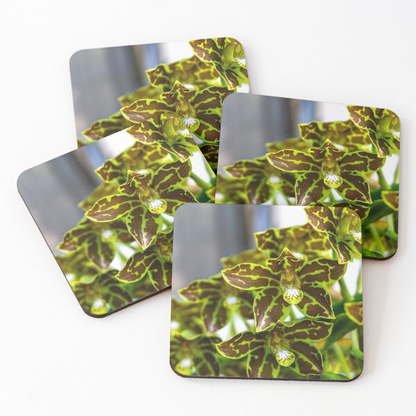 Item preview, Broga Tiger Orchid designed and sold by Keola Makaiau.