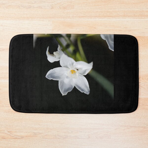 Item preview, Paperwhite White Narcissus Winter designed and sold by Joy Watson - Natural Light Photography .
