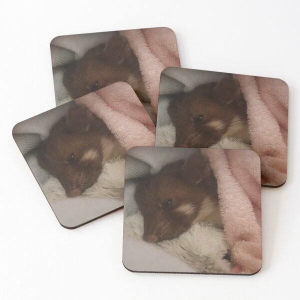 Item preview, Ferret, baby, sleep designed and sold by Sternchen2789.