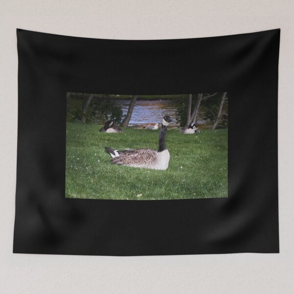 Item preview, Is there something to worry about.  designed and sold by Jouko Lehto Photography.