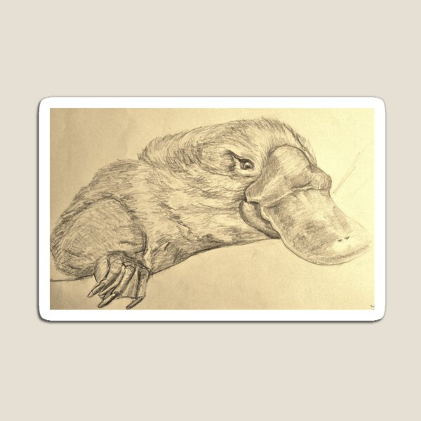 Platypus Magnet