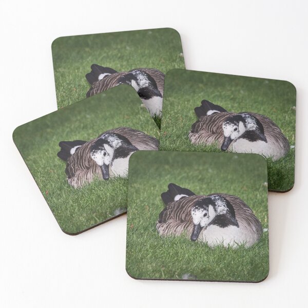 Item preview, White face. Canada goose designed and sold by Jouko Lehto Photography.