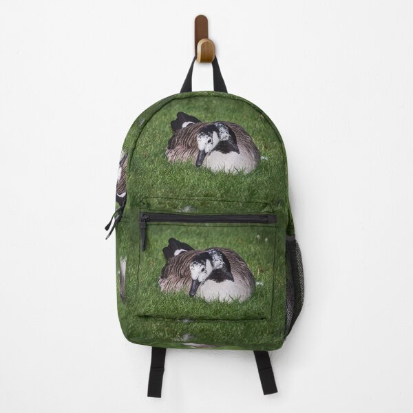 Item preview, White face. Canada goose designed and sold by Jouko Lehto Photography.