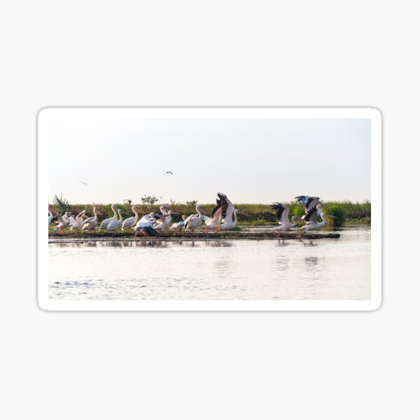 Clear for takeoff Sticker