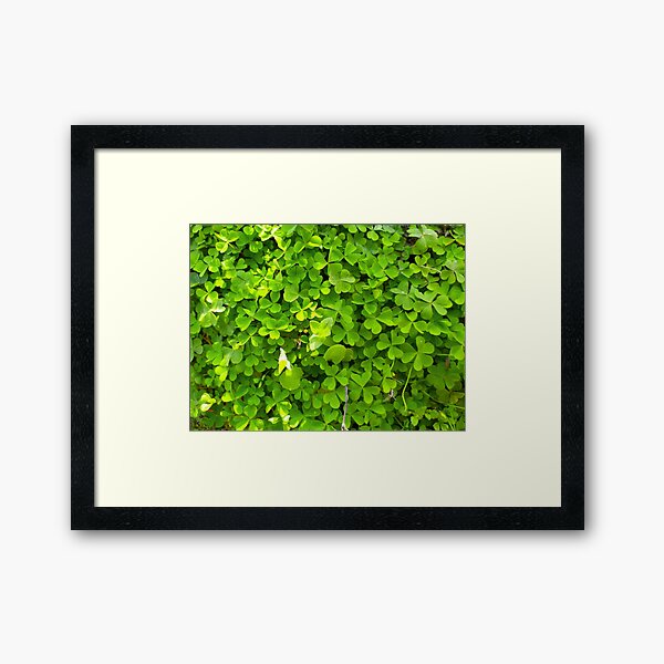 Item preview, green grass designed and sold by sbrstore.