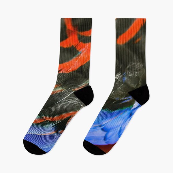 Item preview, Colourful back feathers of native Australian Rosella bird designed and sold by James-Cole.