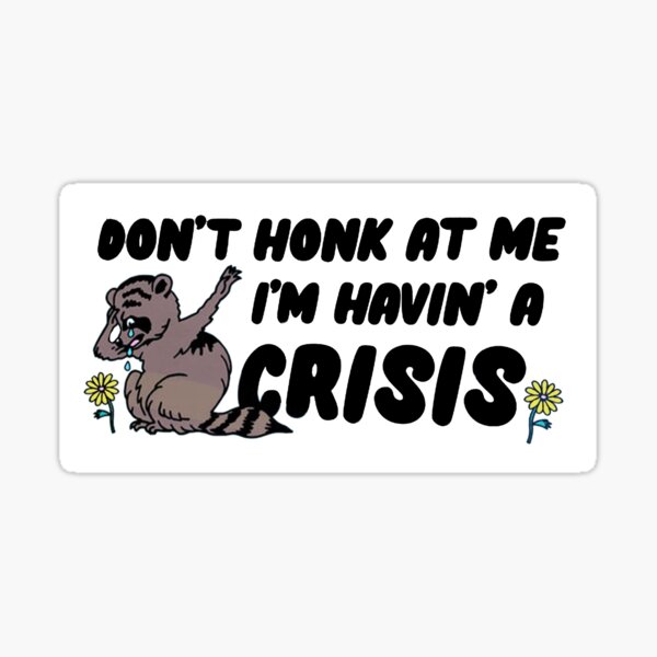 don't honk at me i'm havin' a crisis Sticker