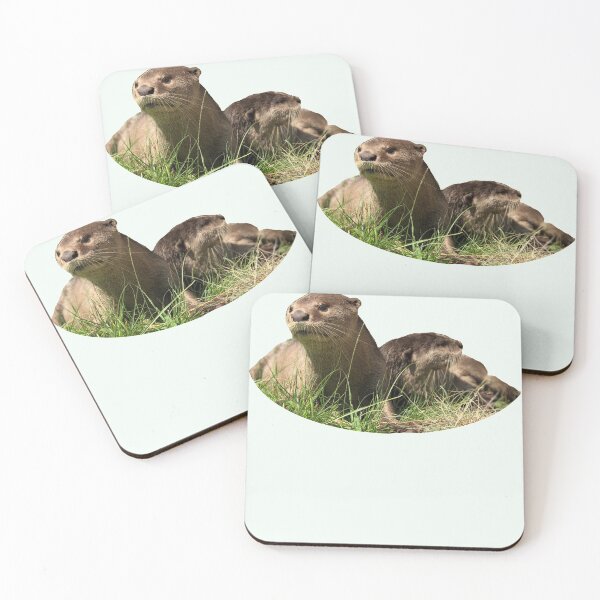 Item preview, Otters designed and sold by Orpid.