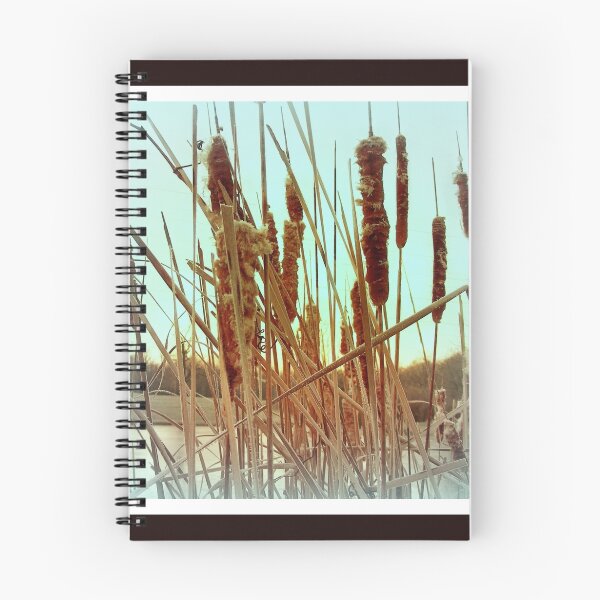 Item preview, Cattails designed and sold by jhell2.