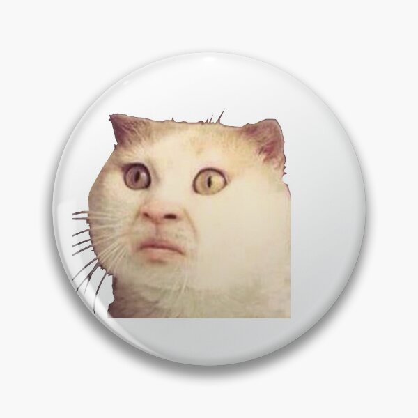 Item preview, Cats W/ Faces Meme PNG No text designed and sold by ASOE.