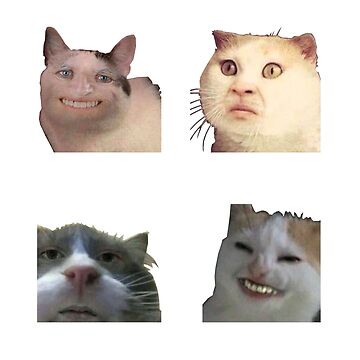 Cat Know Your Meme Anime Eye Internet meme, Cat transparent