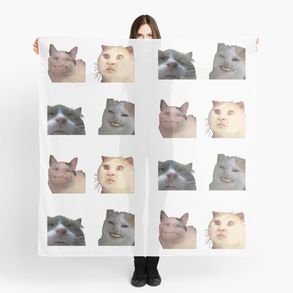 Meme Cat Scarves  Redbubble