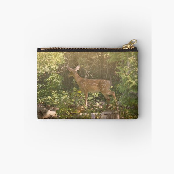 Item preview, Fawn designed and sold by JC-Photography.