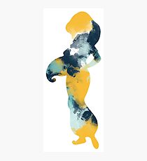 Character Inspired Silhouette Photographic Print