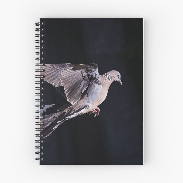 Item preview, Spotted Dove designed and sold by Glenn-Smith.