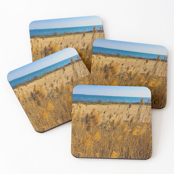 Item preview, pampas grass on beach against sky  designed and sold by Svlgsm.