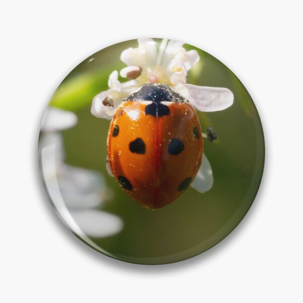 Item preview, Ladybird Lover designed and sold by GingerMan2550.