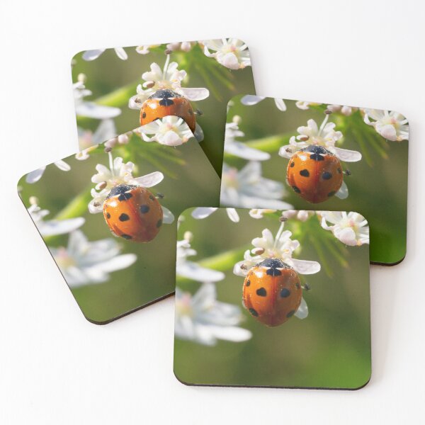Item preview, Ladybird Lover designed and sold by GingerMan2550.