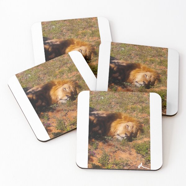 Item preview, Lion @ Addo Elephant Nationa Park, South Africa designed and sold by Maverick-Merch.