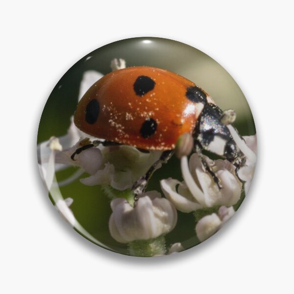Item preview, Ladybird designed and sold by GingerMan2550.