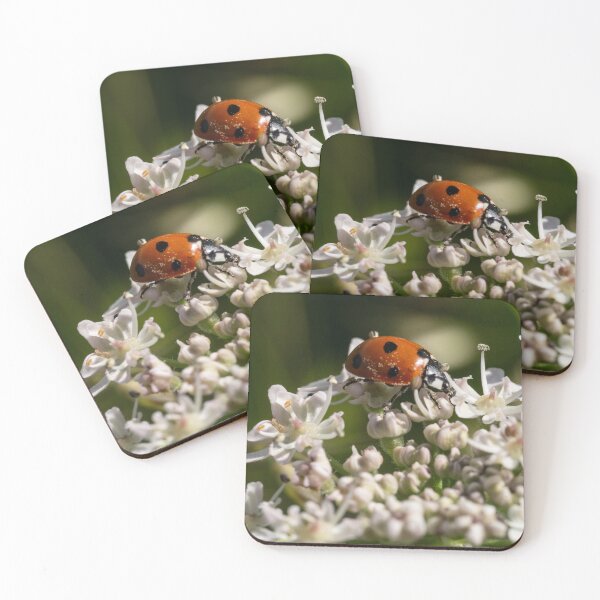Item preview, Ladybird designed and sold by GingerMan2550.