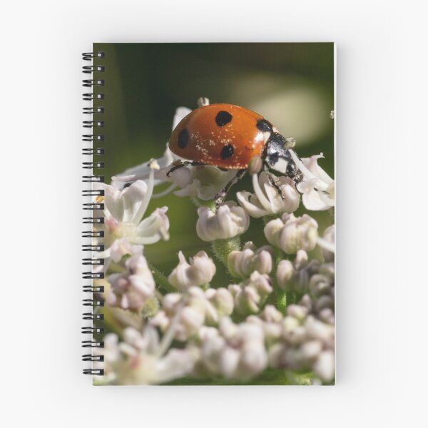 Item preview, Ladybird designed and sold by GingerMan2550.