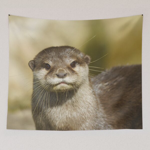 Item preview, Look Into My Eyes designed and sold by rawshutterbug.