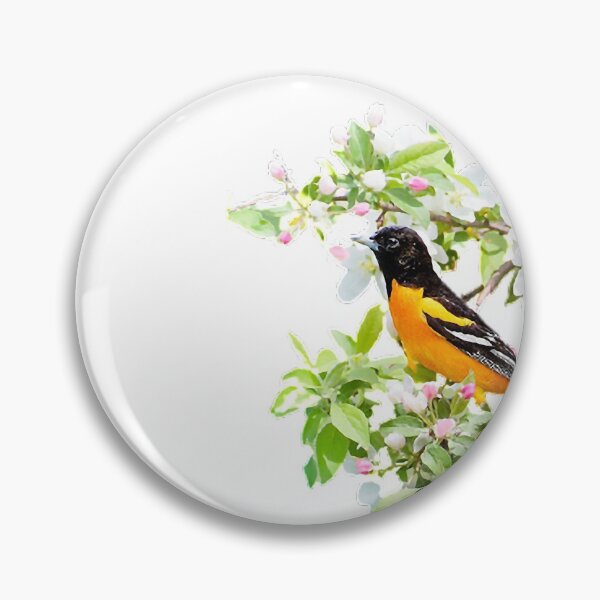 Item preview, Northern Orioles, shrubs, male animals, flowers, Black-naped Orioles (scientific name: Oriolus chinensis) are medium-sized finches. designed and sold by zenger2021.