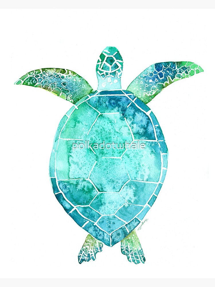 Blue Turtle Turtle Art Ocean Turtle Swiming Sticker For Sale By