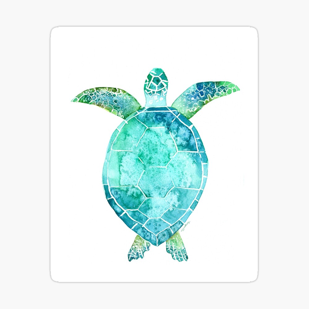 Blue Turtle, turtle art, ocean turtle swiming Blue Turtle, turtle art, ocean turtle swiming