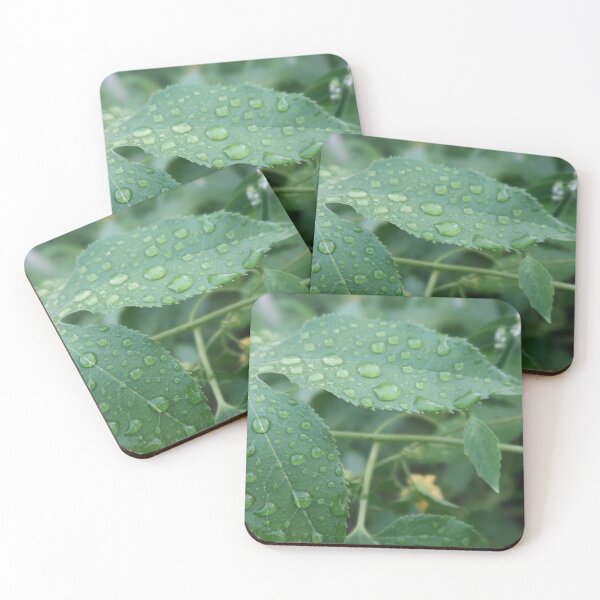 Item preview, Wet Passionfruit Vine designed and sold by Crystaliii.