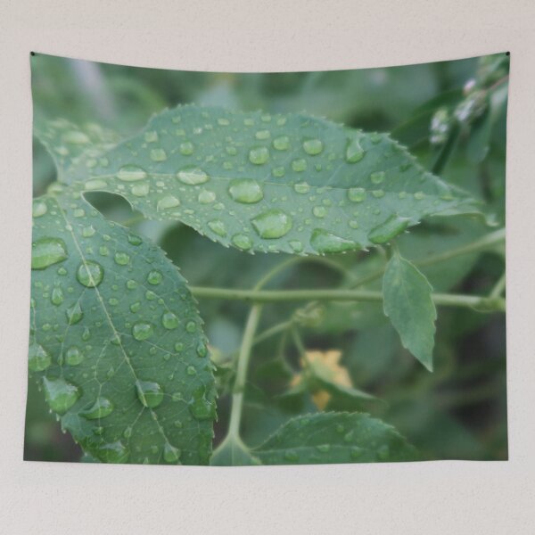 Item preview, Wet Passionfruit Vine designed and sold by Crystaliii.