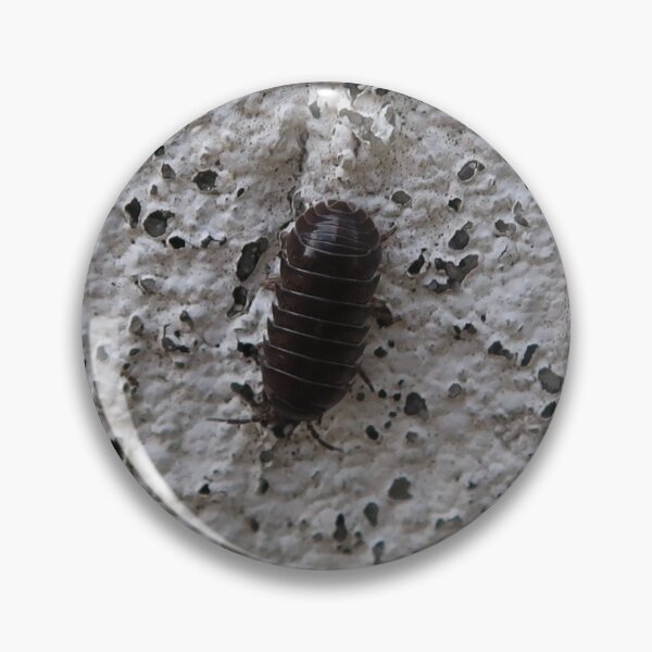 Item preview, Pillbug designed and sold by Crystaliii.