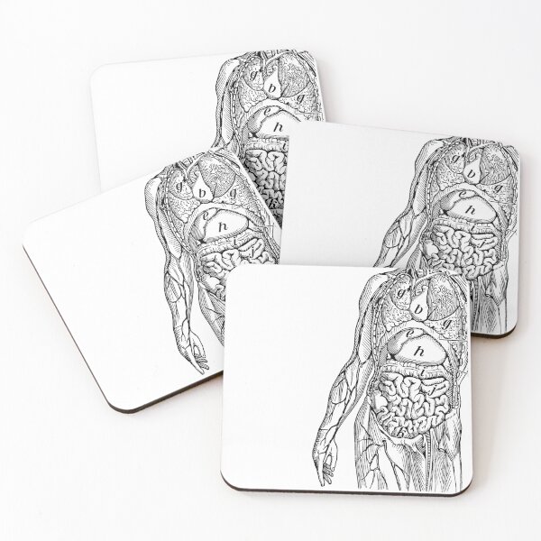 Item preview, Vintage Anatomical Textbook Body designed and sold by dustonmyboots.