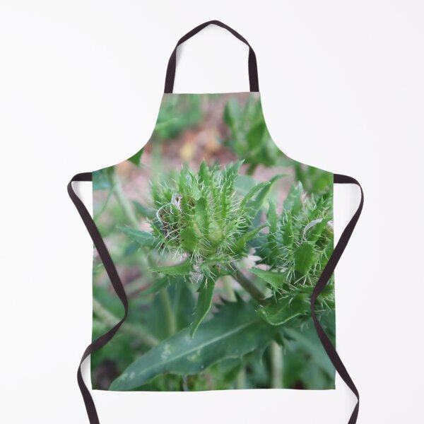 Item preview, Spiky Plant designed and sold by Crystaliii.