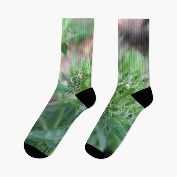 Item preview, Spiky Plant designed and sold by Crystaliii.
