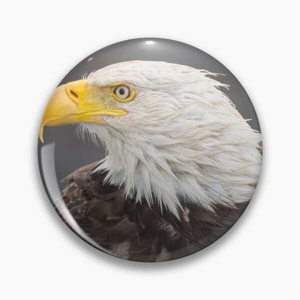 Item preview, Bald Eagle Portrait designed and sold by PhotoArt by Joan Carroll.