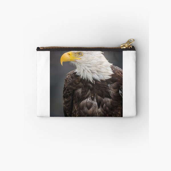 Item preview, Bald Eagle Portrait designed and sold by PhotoArt by Joan Carroll.