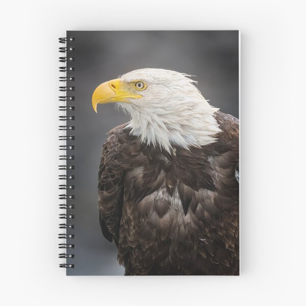 Item preview, Bald Eagle Portrait designed and sold by PhotoArt by Joan Carroll.