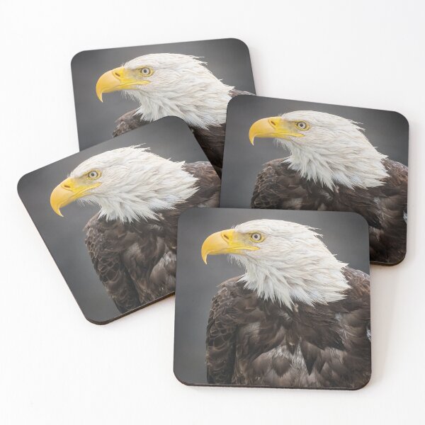 Item preview, Bald Eagle Portrait designed and sold by PhotoArt by Joan Carroll.